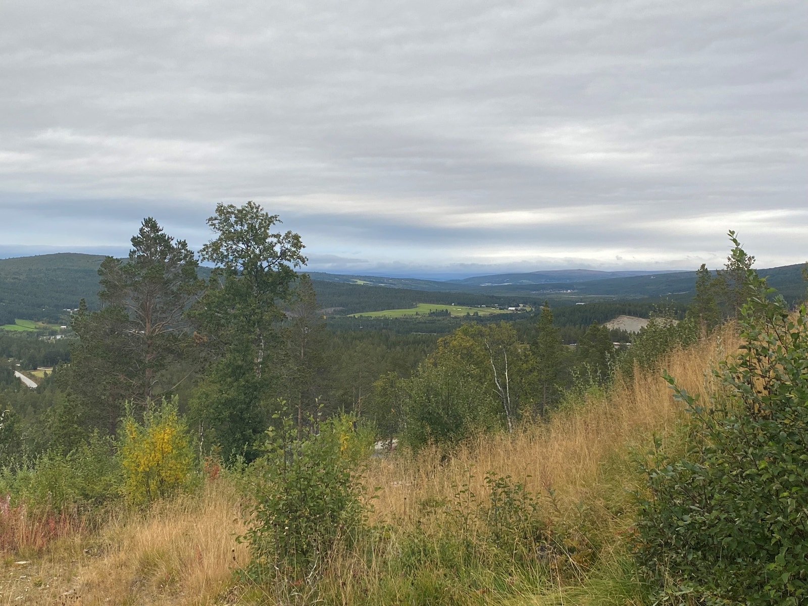 Fra tomtene i Koivollveien ser du også inn mot Røros. Galleribilde