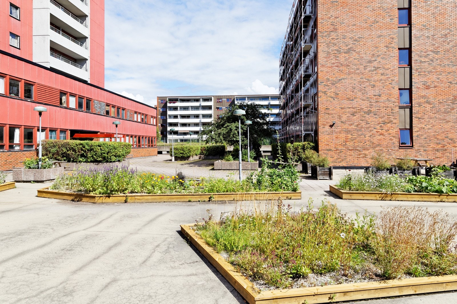 Bakgård Galleribilde