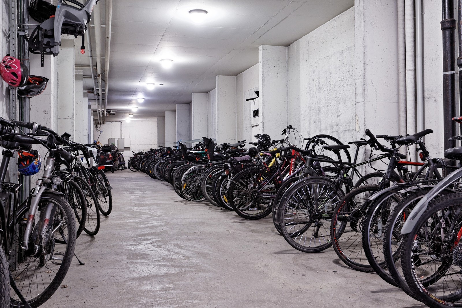 Felles sykelbod Galleribilde