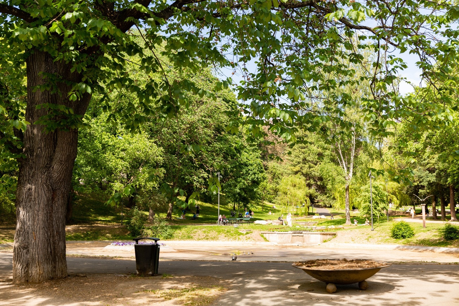 Dette er en perfekt beliggenhet for deg som ønsker å bo sentralt og samtidig vil ha kort vei til flotte grøntarealer. Galleribilde
