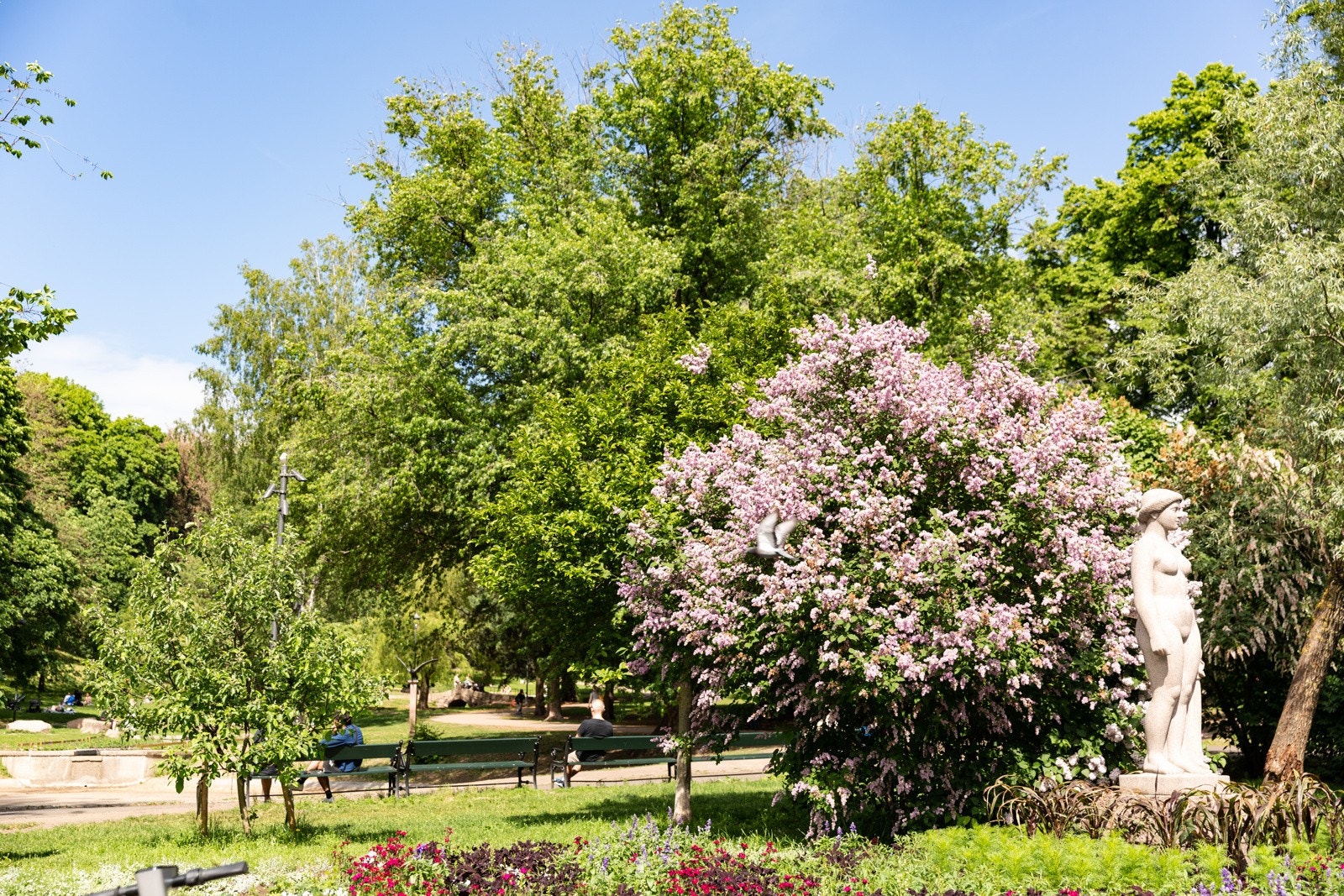 For den naturglade og aktive er det flere parker og grøntarealer i umiddelbar nærhet med bl.a. idylliske St. Hanshaugen park som nærmeste nabo. Galleribilde