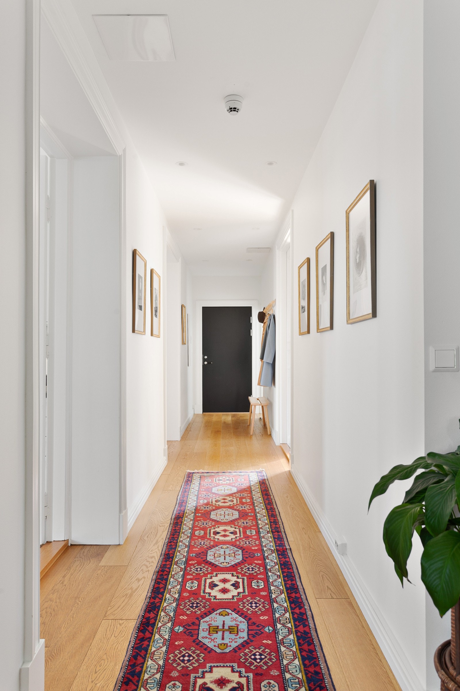 Lys og langstrangt entré. Galleribilde