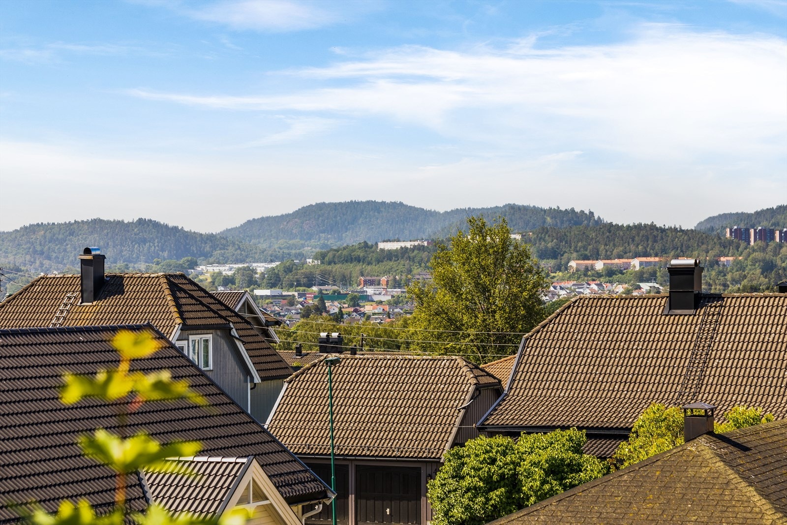 Fra boligen er det kort vei til Borgestad barnehage, hest- og ponnisenteret, Buer barneskole og Menstad ungdomsskole Galleribilde
