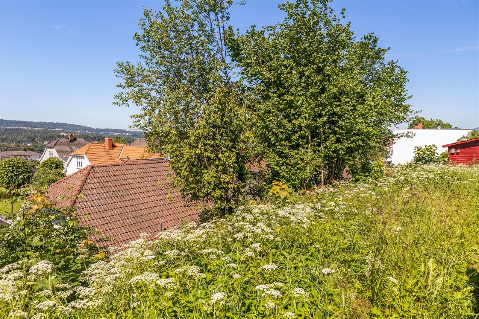 Uteområde Galleribilde