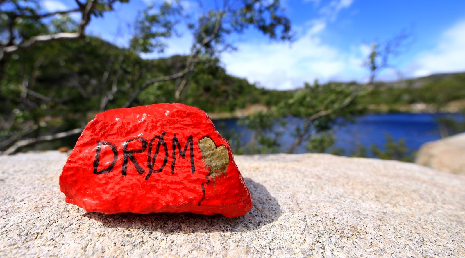 Inspirasjon i heia :) Galleribilde