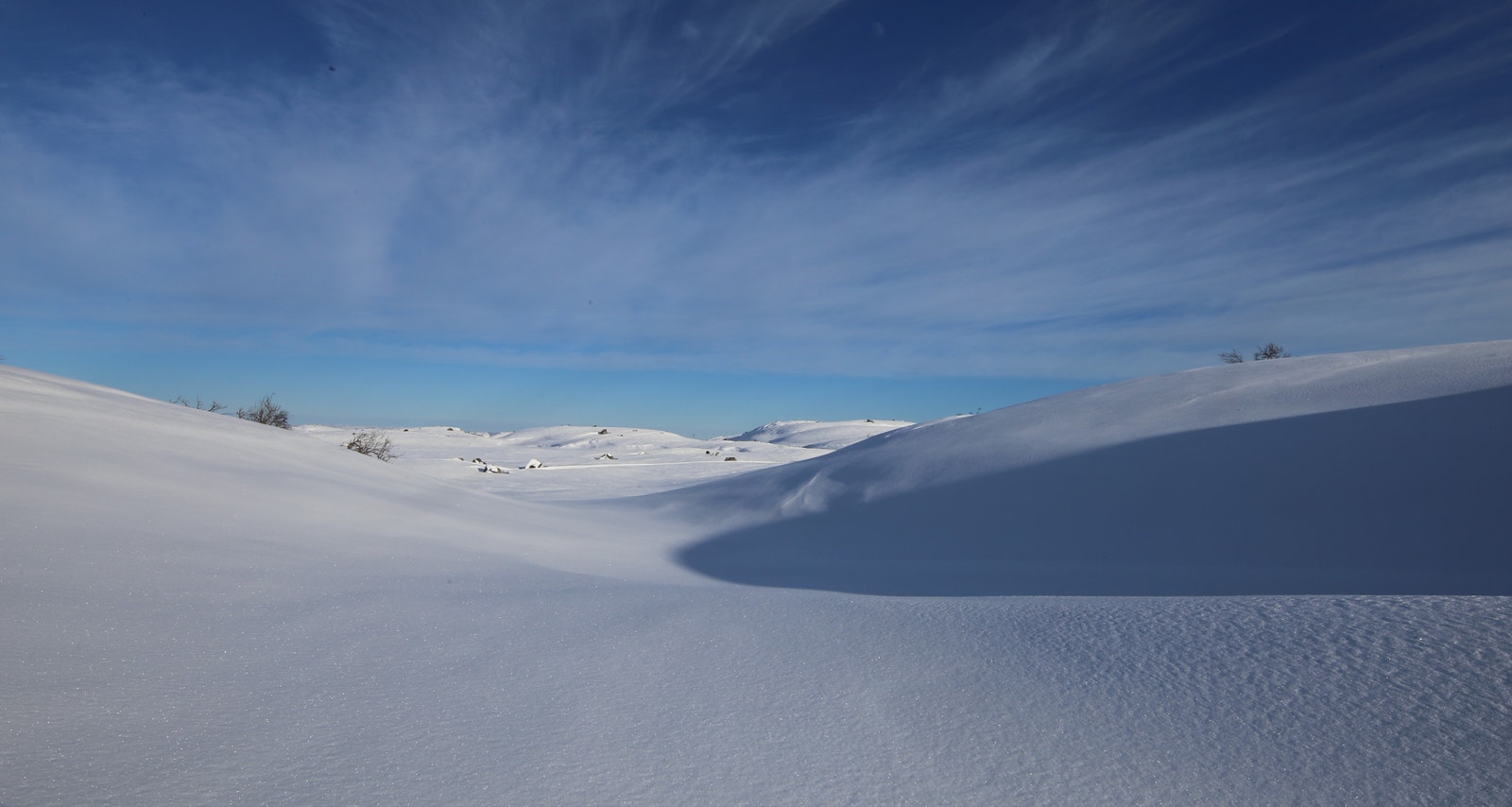 Påskefjellet. Galleribilde