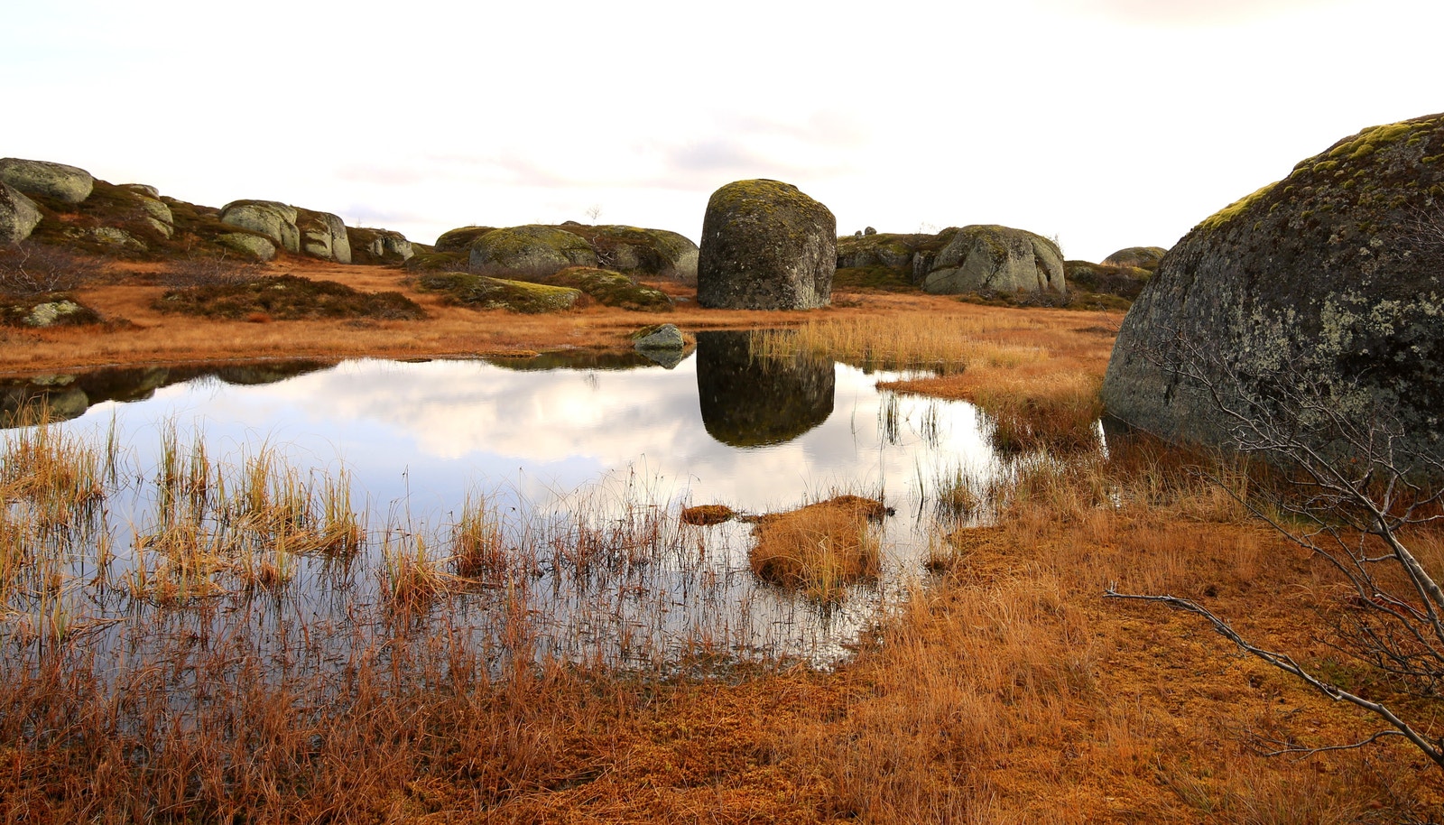 Høst i fjellet. Galleribilde