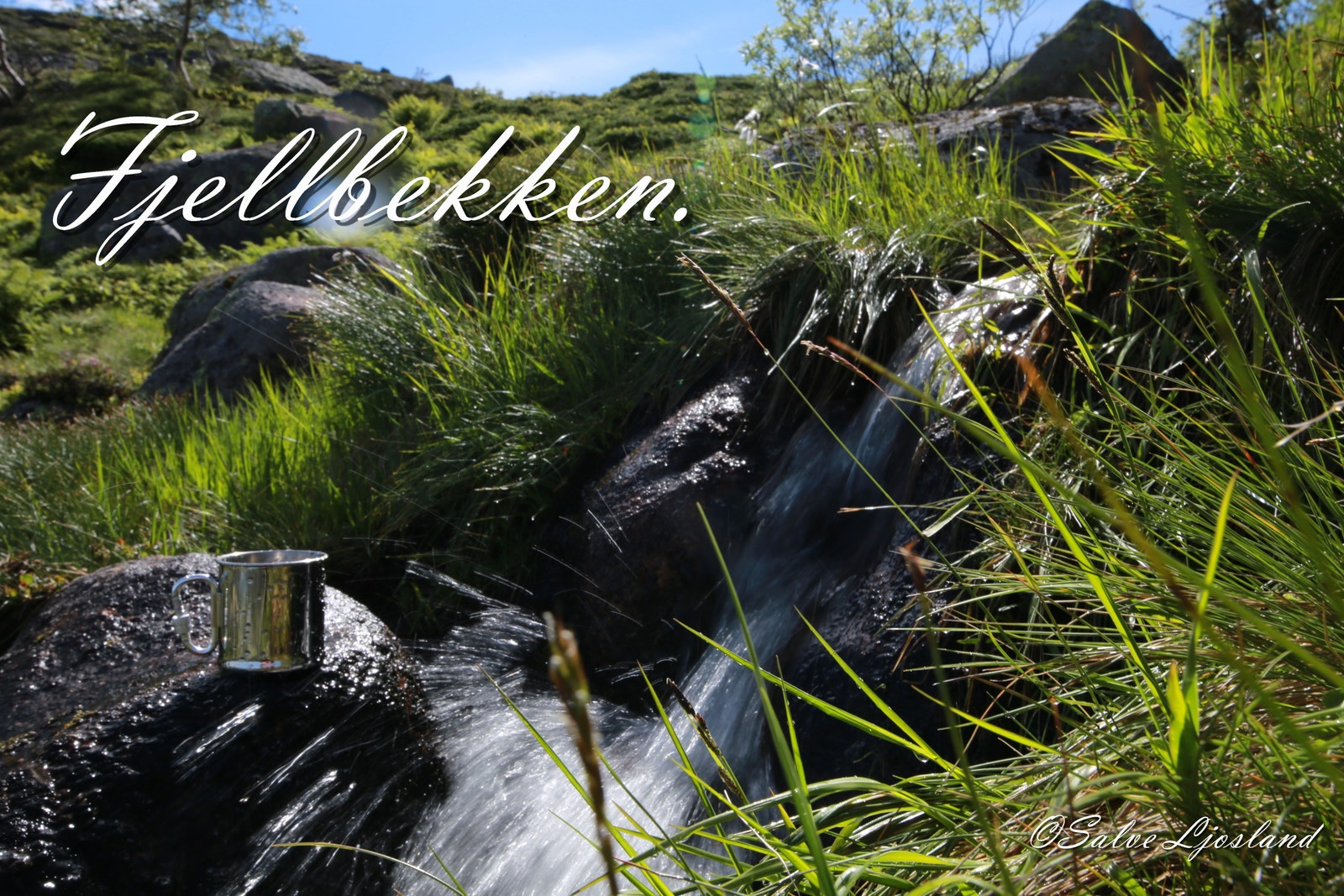 Fjellbekken. Galleribilde