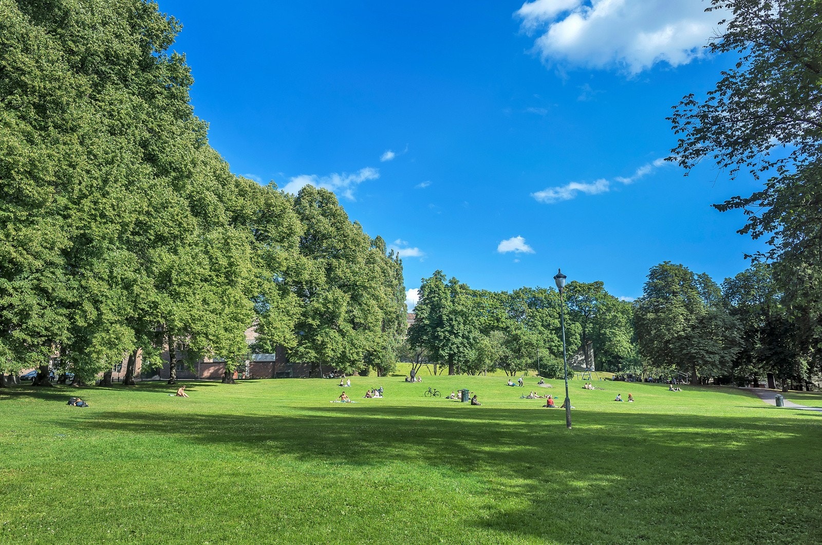Det er flere parker i nærområdet. Galleribilde