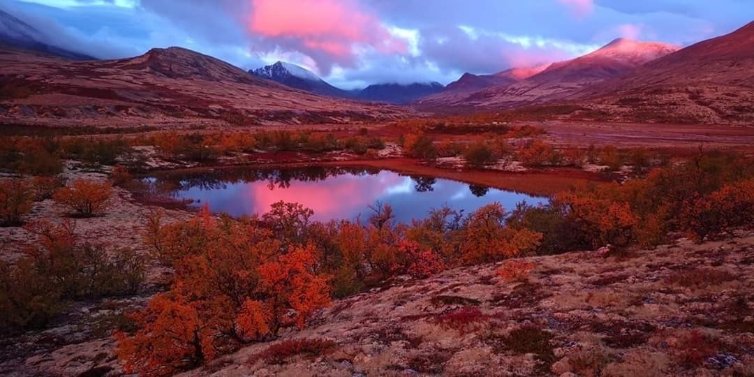 Bilder tatt av Arne Lohn Galleribilde