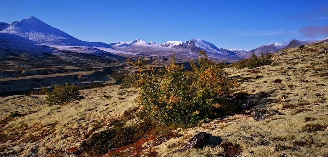 Bilder tatt av Arne Lohn Galleribilde