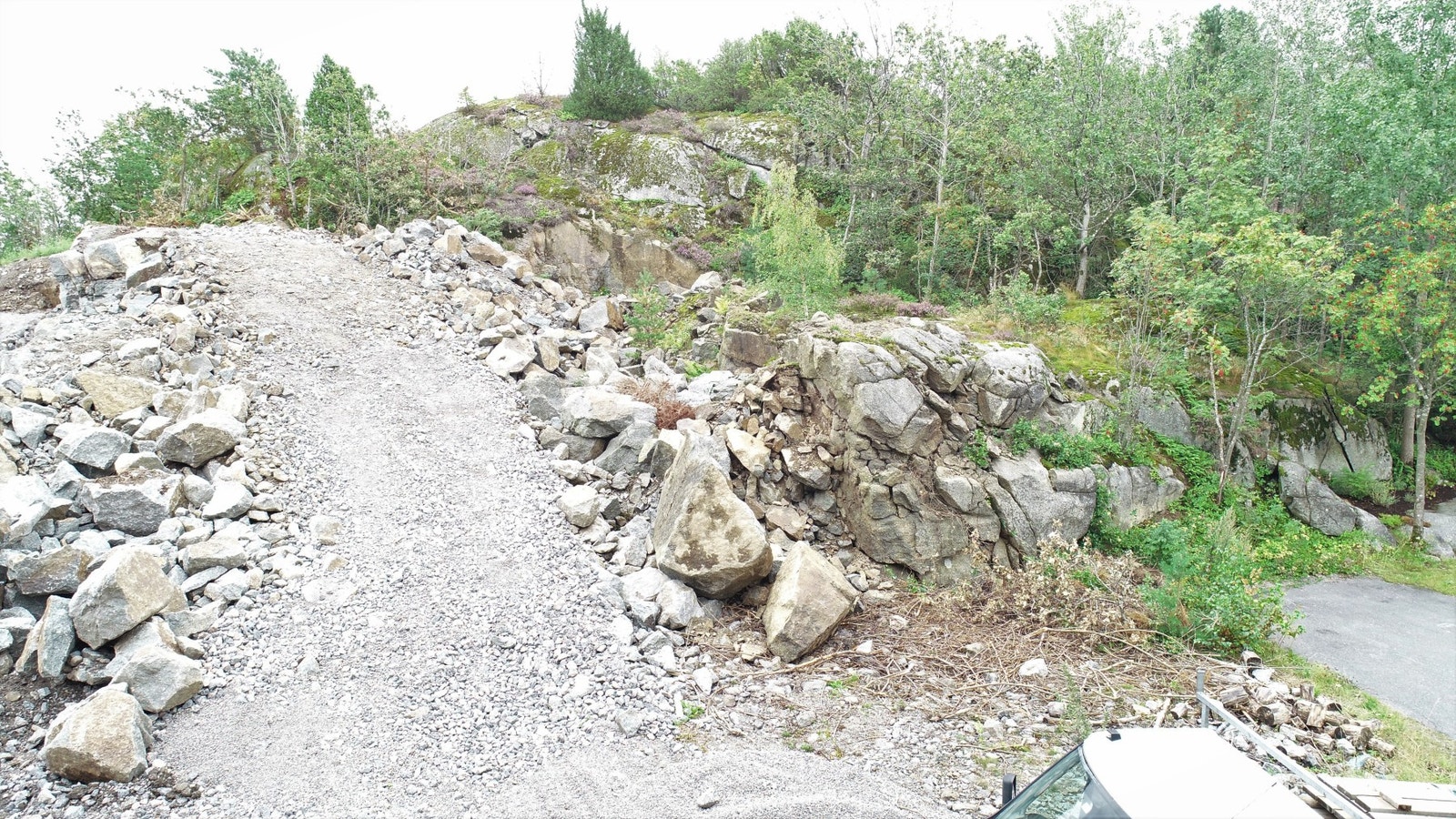 Tomt mot øst Galleribilde