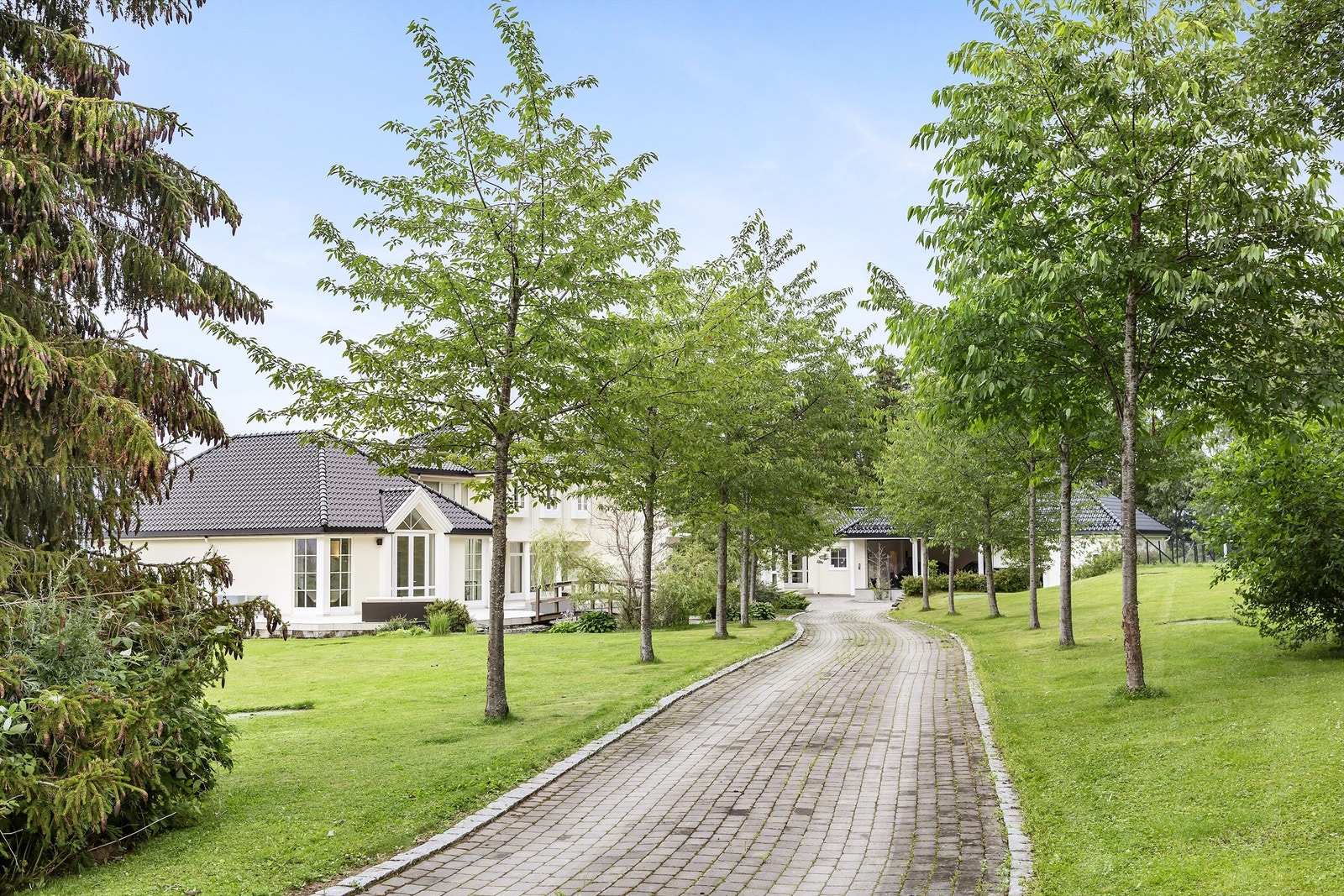 Nydelig allé som bringer deg fra porten og inn mot eiendommen. Galleribilde