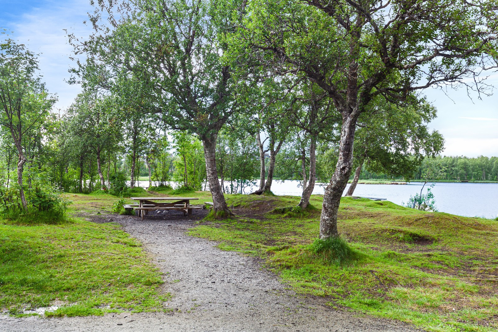 Kort vei til Prestvannet som byr på en flott natursti