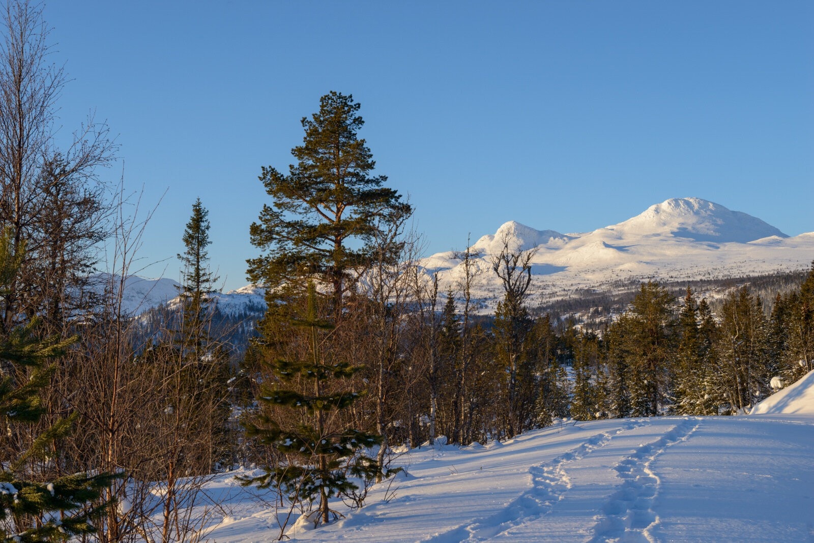 Tomtene har helårsvei, vann, avløp, strøm og leveres med parkeringsplass for to biler. Her fra tomt M5 og M4. Galleribilde
