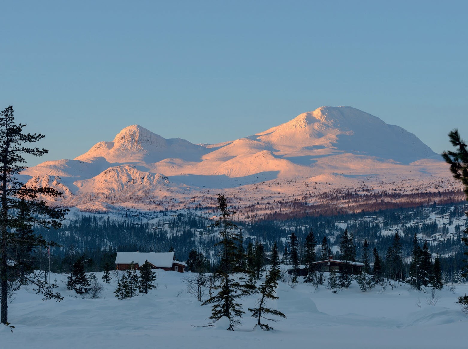 Langehaug hyttefelt i Tuddal ligger naturskjønt til. Galleribilde