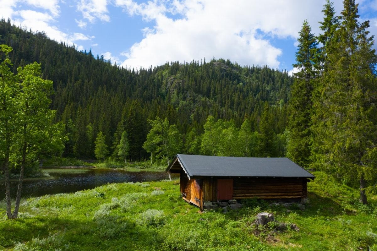 Båthuset Galleribilde