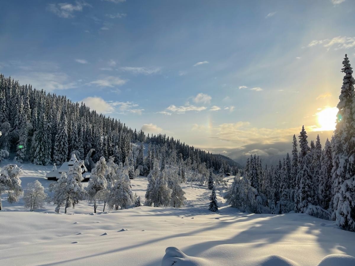 Vinteridyll Galleribilde