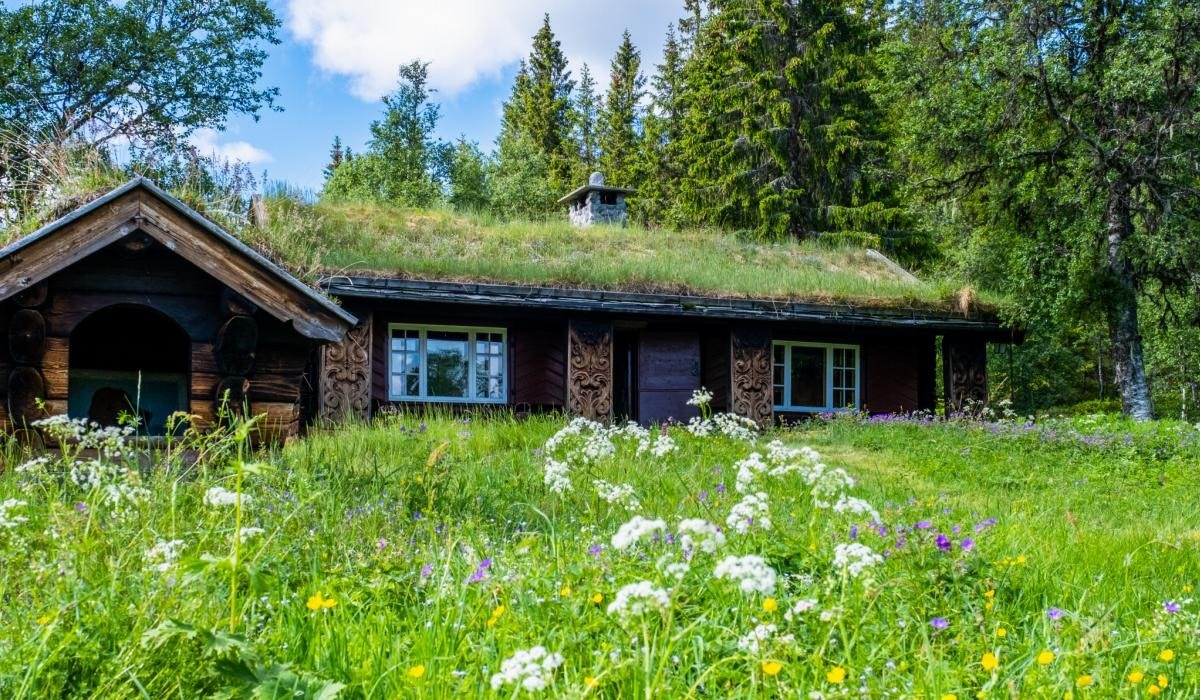 Gamlestua og hundehus i forgrunnen Galleribilde