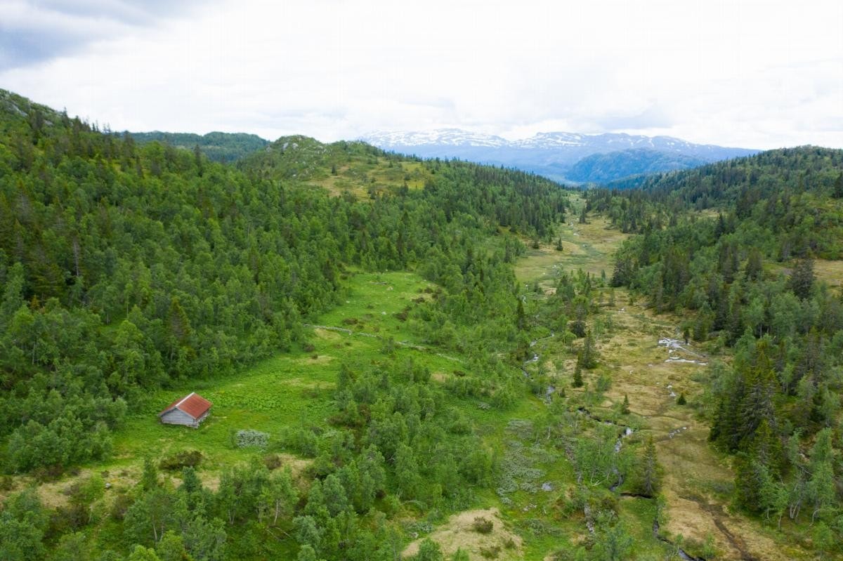 Nystaul Nordre Galleribilde