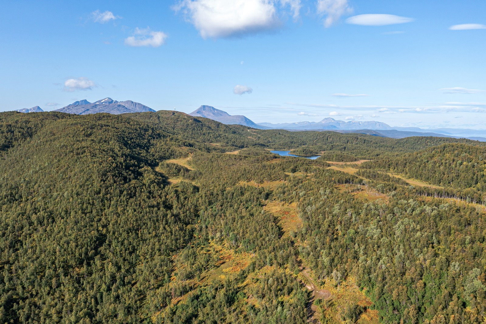 Like ved boligen er det flotte turstier til bl.a. Balsokken