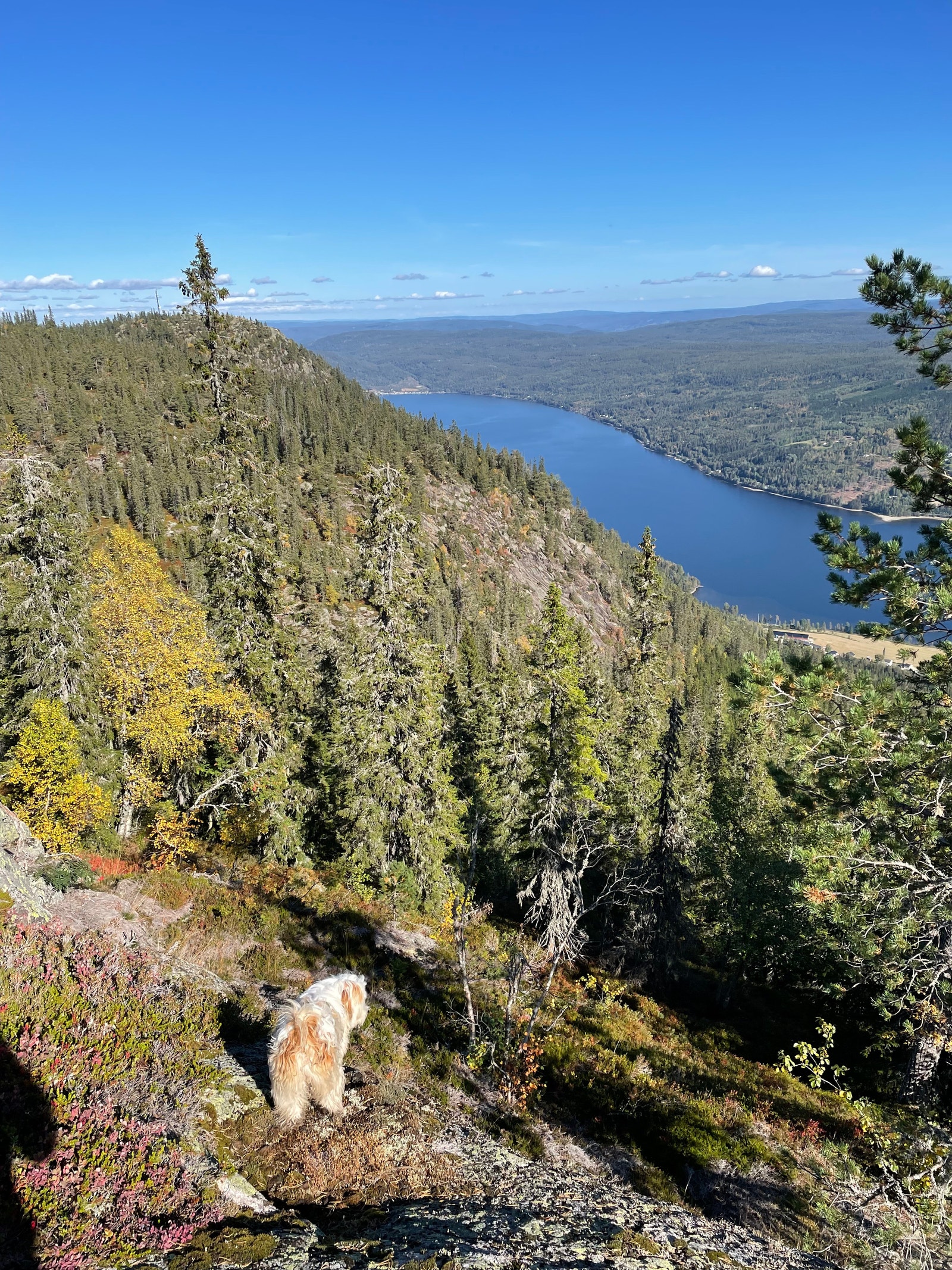 Utsikt mot Sperillen Galleribilde