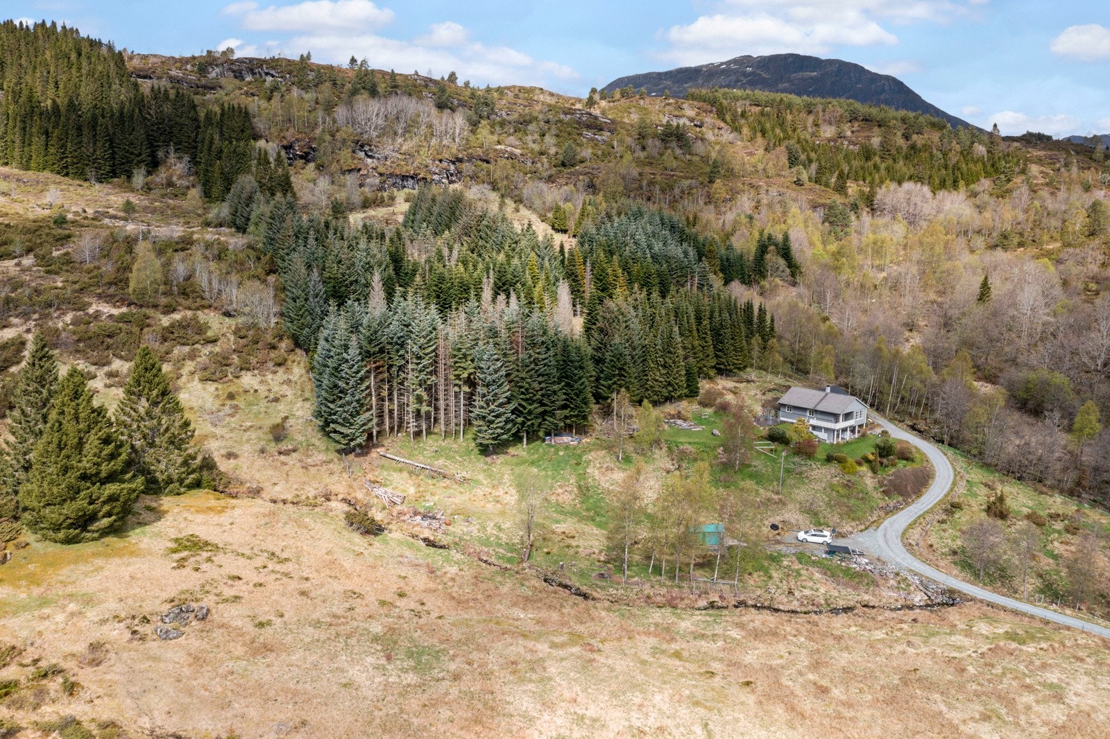 Like ovenfor eiendommen Holmedalsvegen 309 finner du en av teigene til Holmedalsvegen 271. Galleribilde