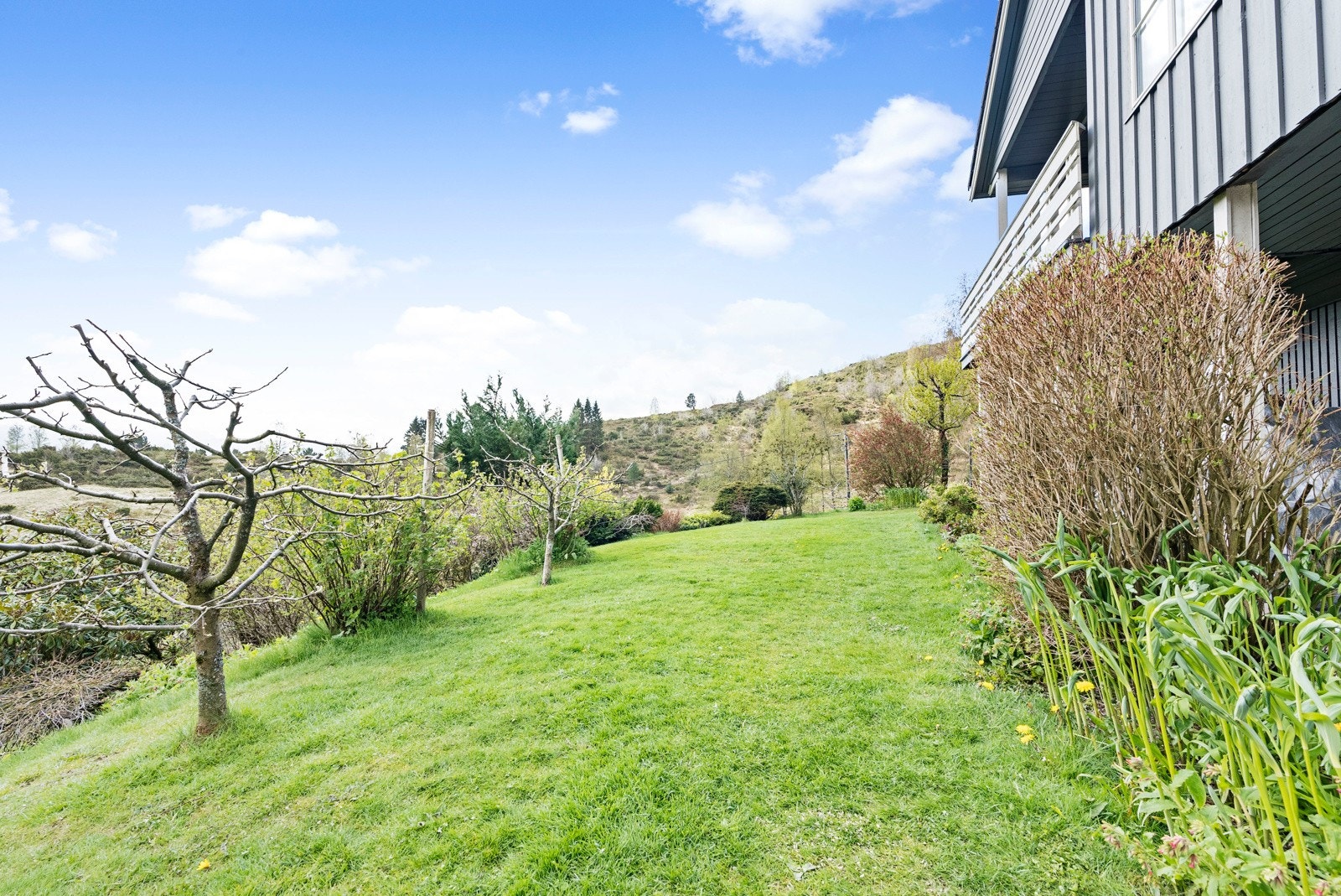 Hagen på nedsiden av huset. Galleribilde