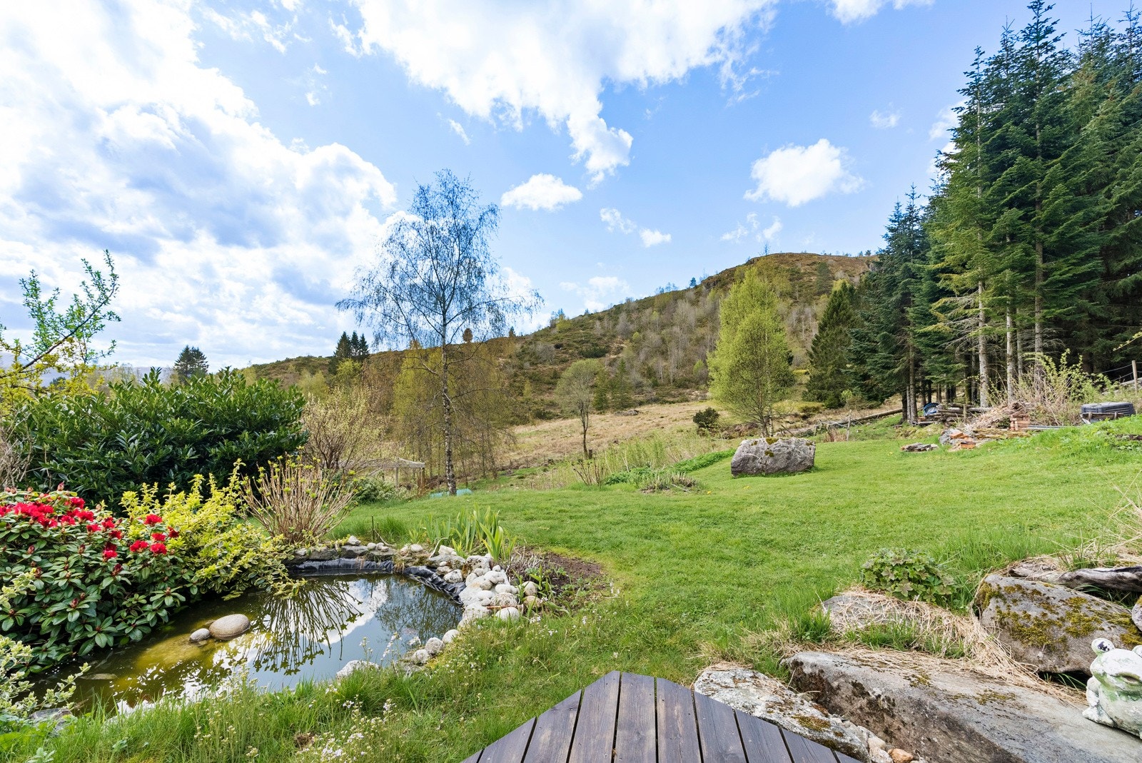 Stor hage med plen, platting, dam og diverse planter og trær. Galleribilde