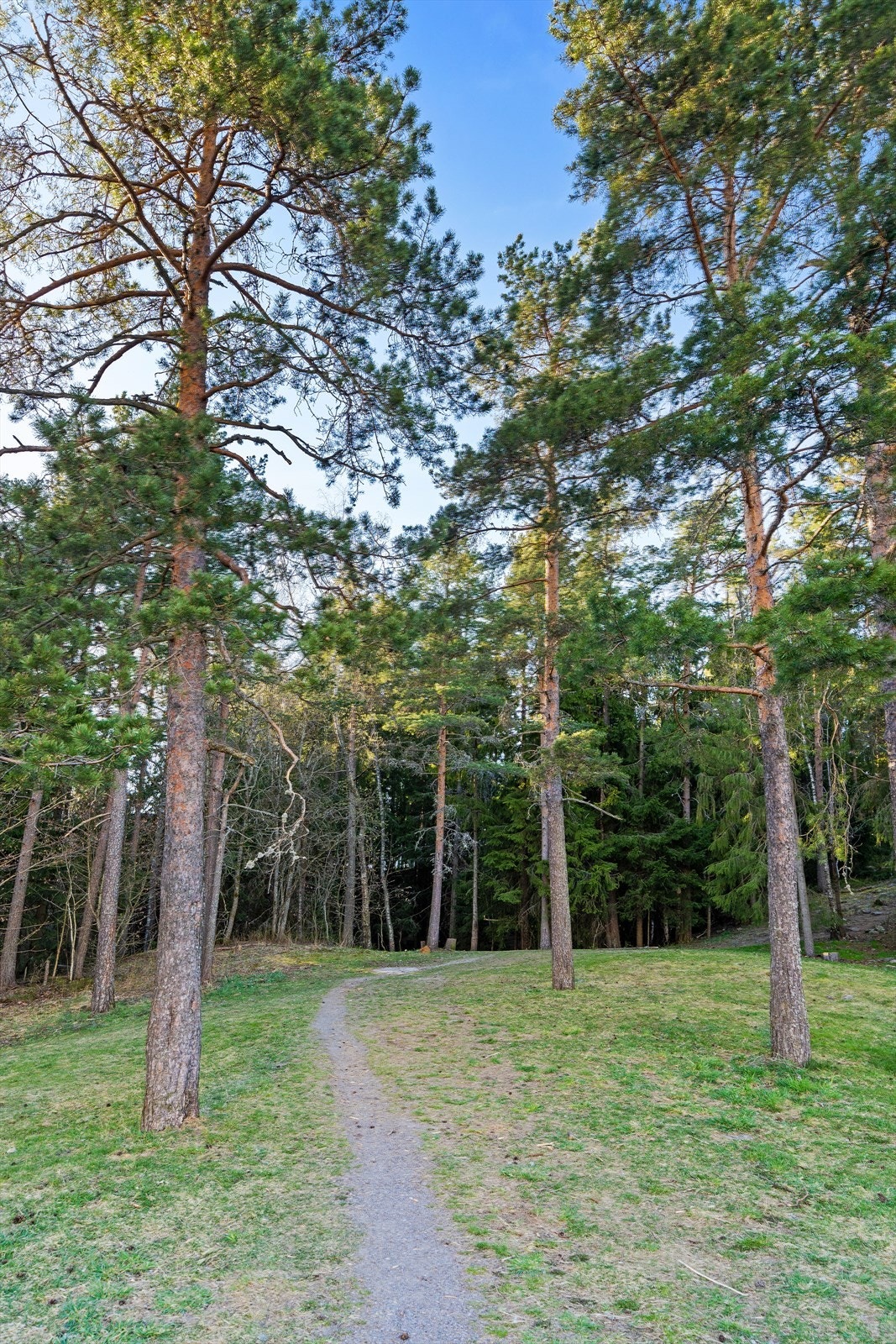 Område byr på flotte turmuligheter på sommer- og vinterstid. Galleribilde
