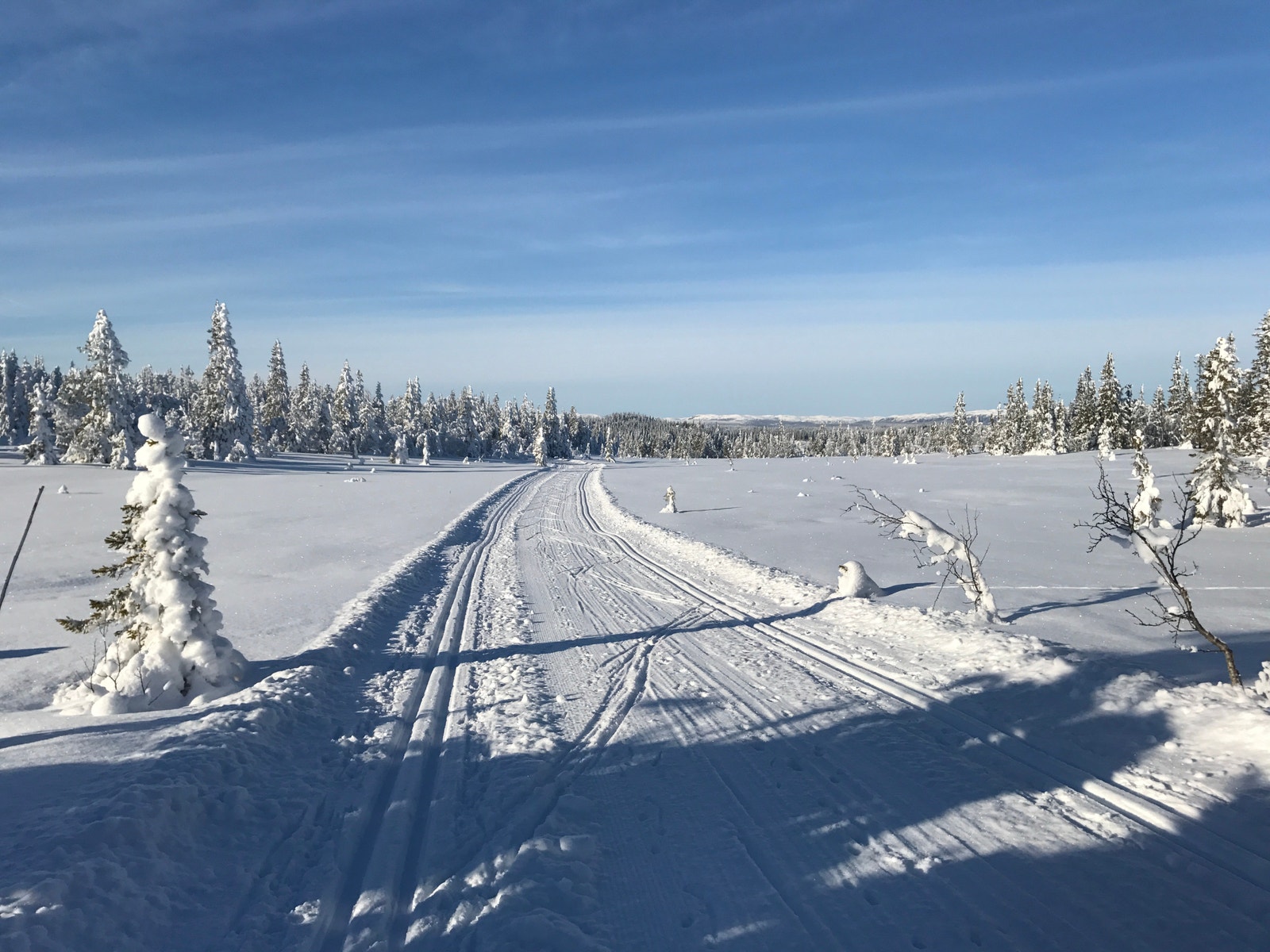Flotte skiløper Galleribilde
