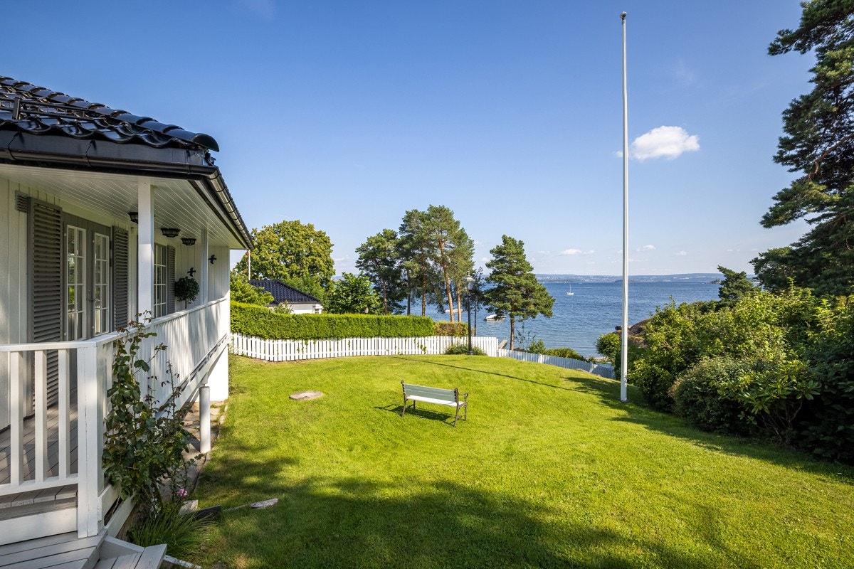 Fin gressplen Galleribilde