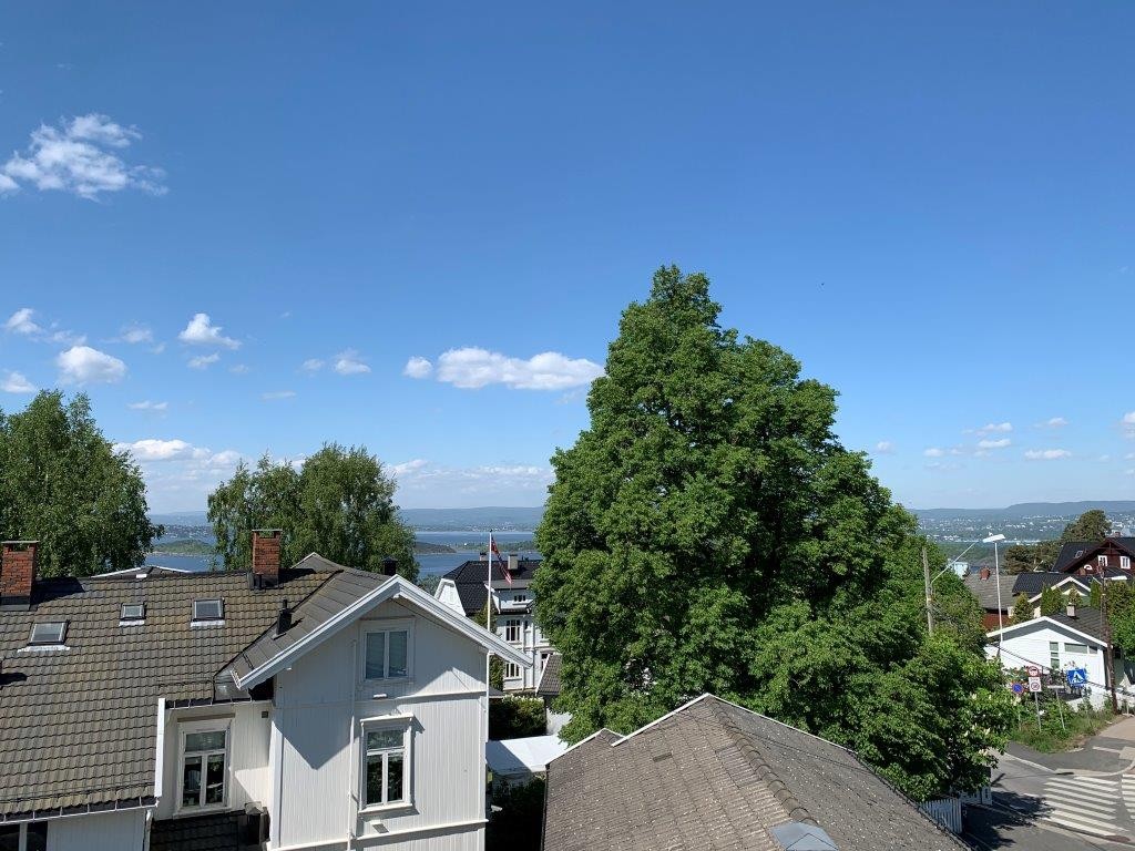 Deler av utsikten - bilde tatt fra leiligheten A11 Galleribilde