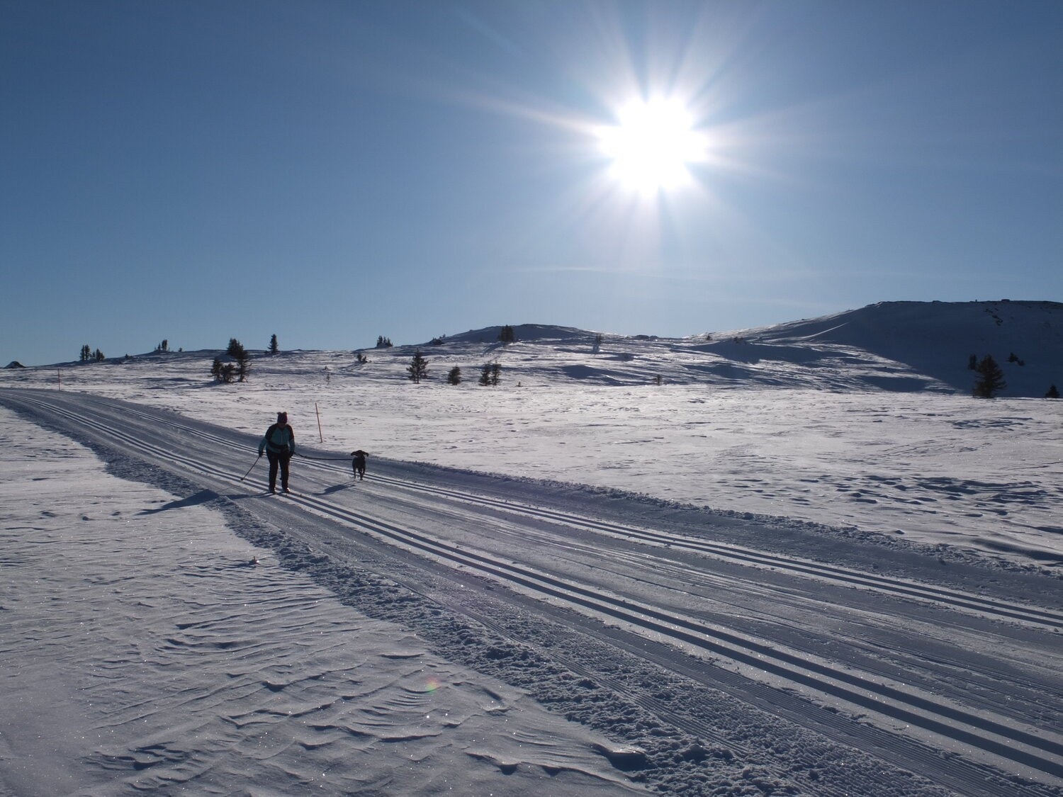 Ål har ca. 460 kilometer med preparerte skiløyper og er av kommunene med flest kilometer fjellveier som gir gode muligheter for sykling og andre utflukter. Galleribilde