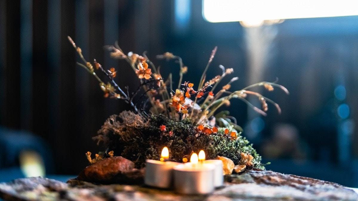 Detaljbilde Galleribilde