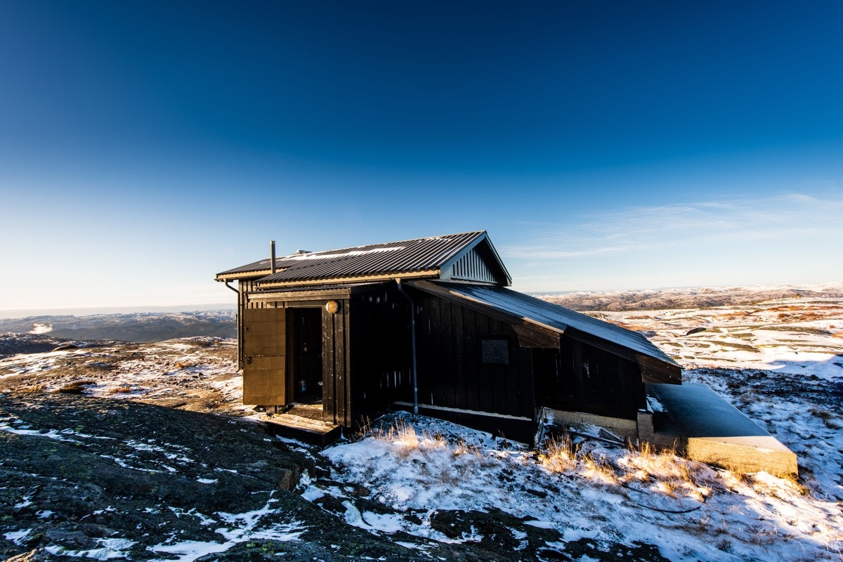 Velkommen til visning! Galleribilde