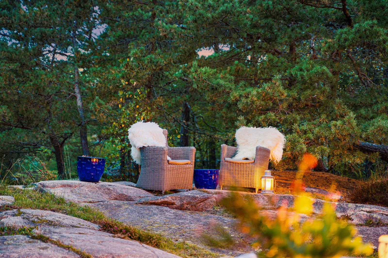 Omringet av nydelig furuskog som beskytter mot kalde gufs fra havet Galleribilde