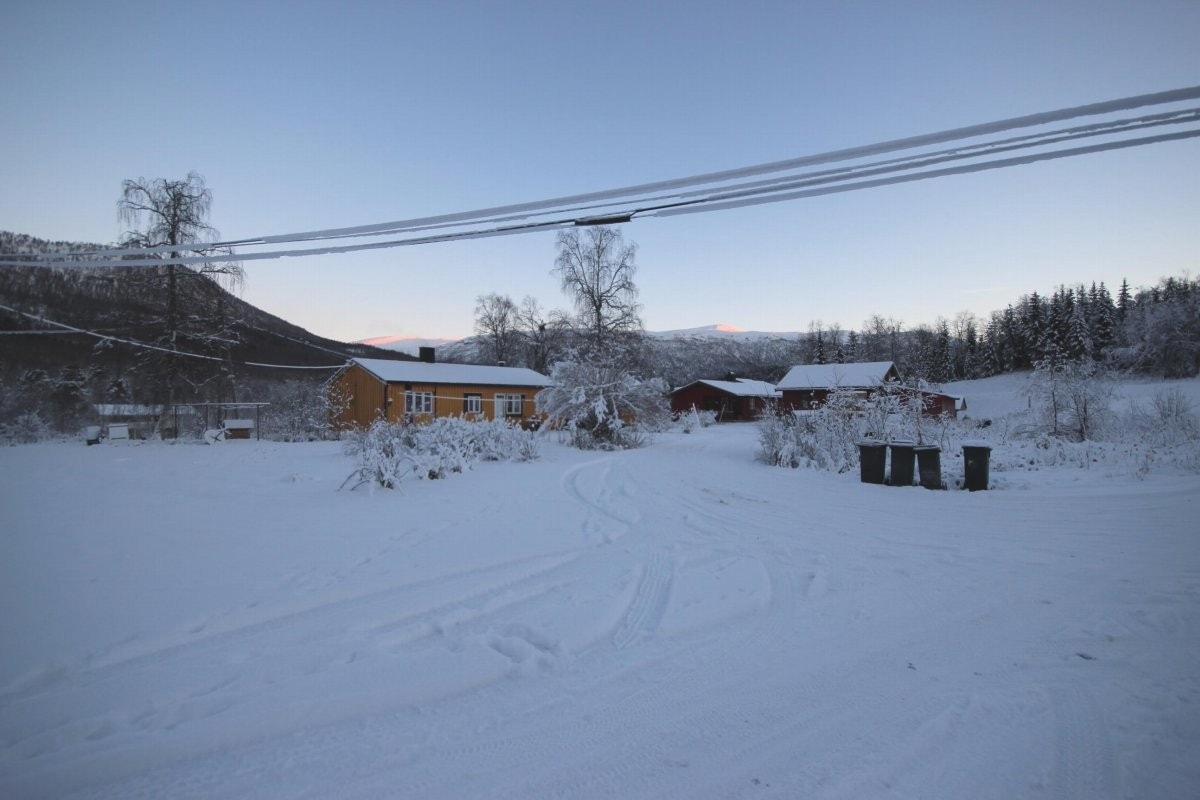 Naboer på hver side av eiendommen Galleribilde