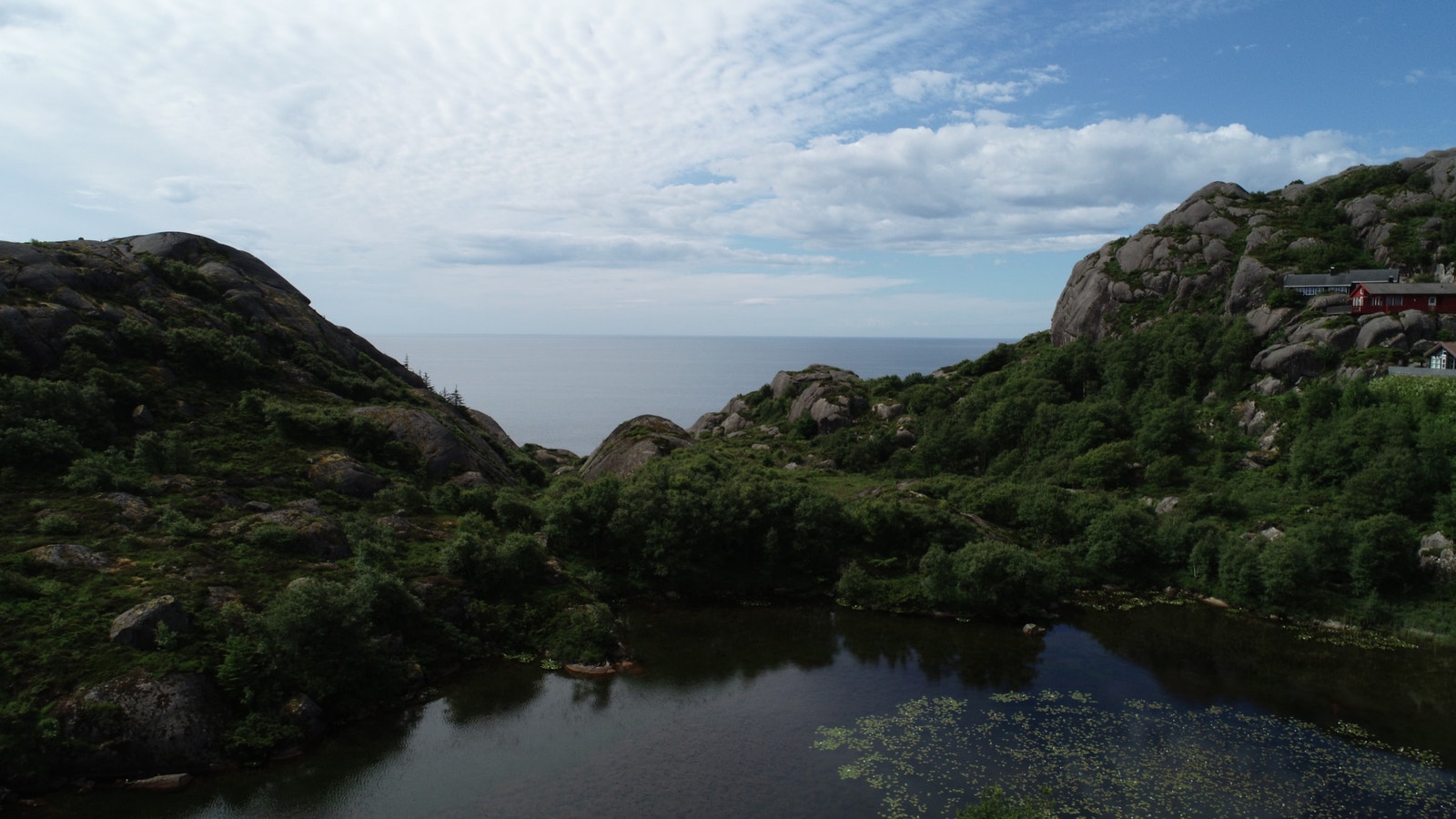Utsikt mot havet. Galleribilde