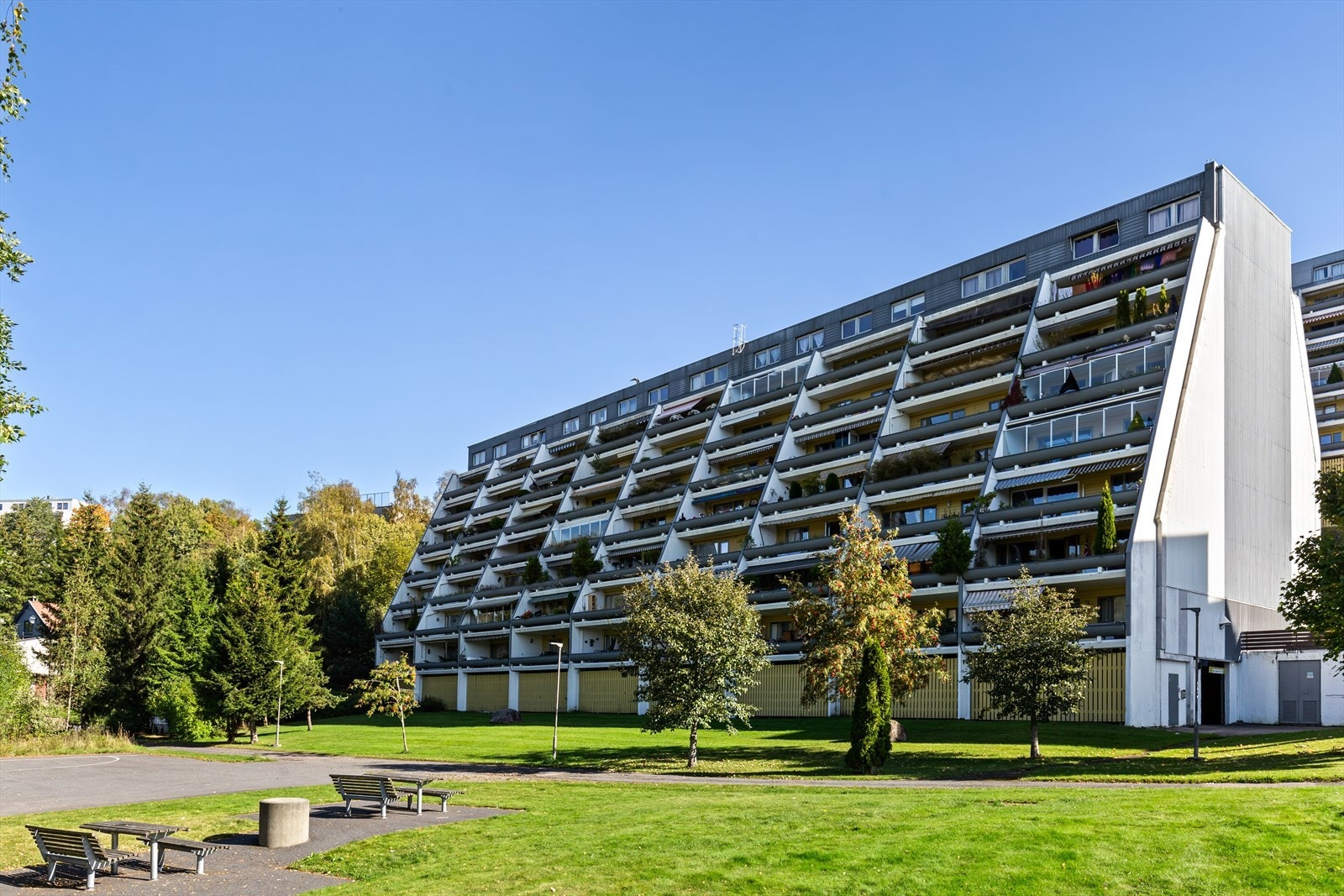 Velkommen til visning. Galleribilde