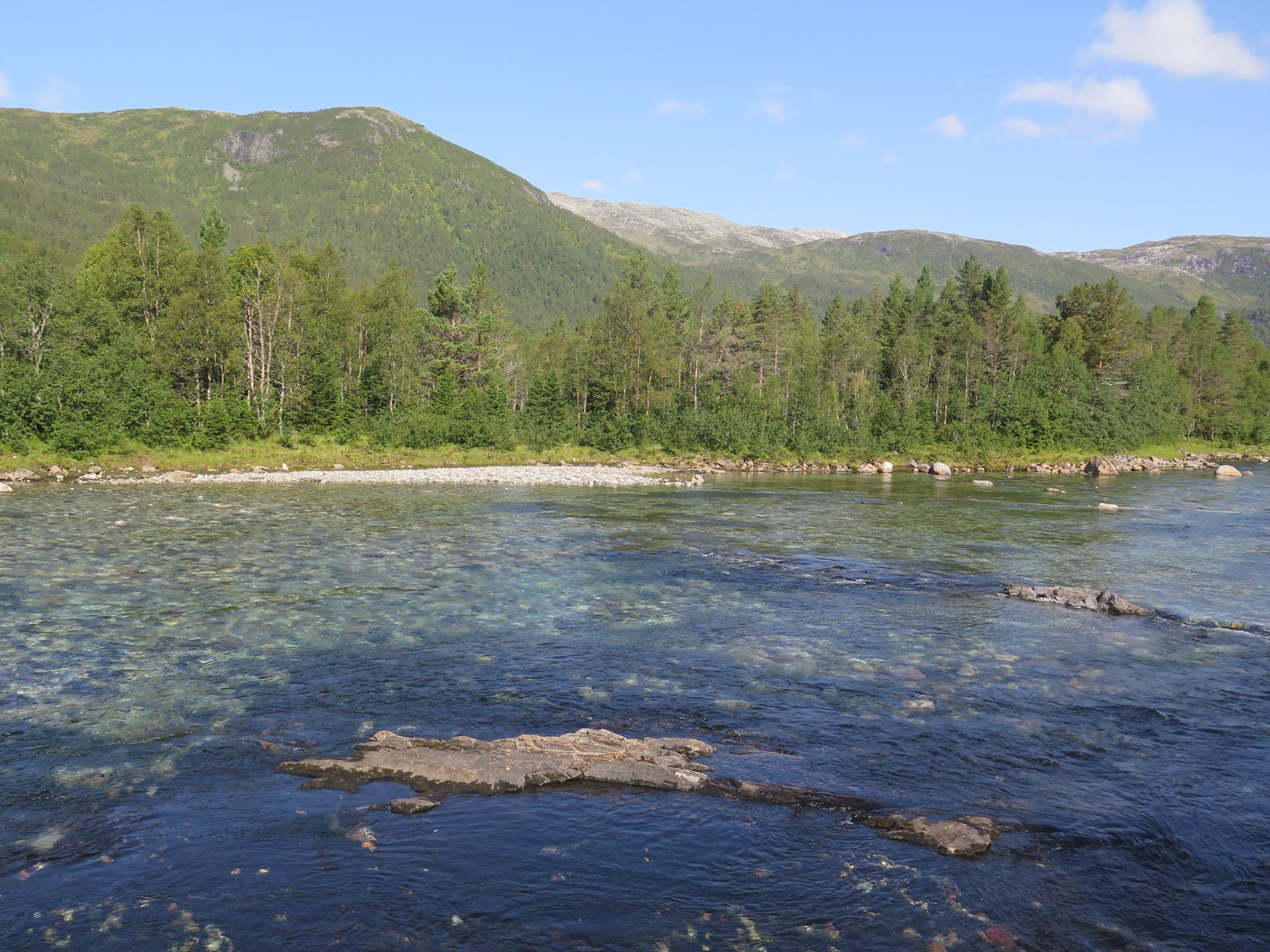 Mjølfjell. Galleribilde