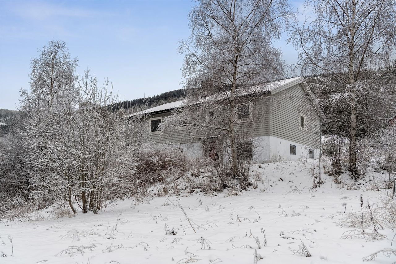 Skrånet tomt med en del kratt og kjerr Galleribilde