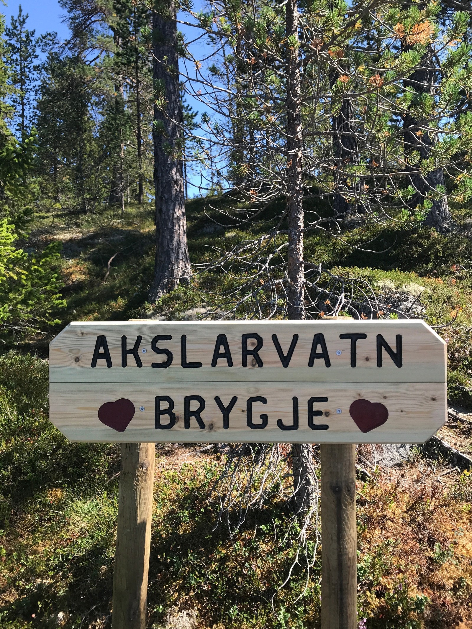 Flott turterreng, fiske- og bademuligheter Galleribilde