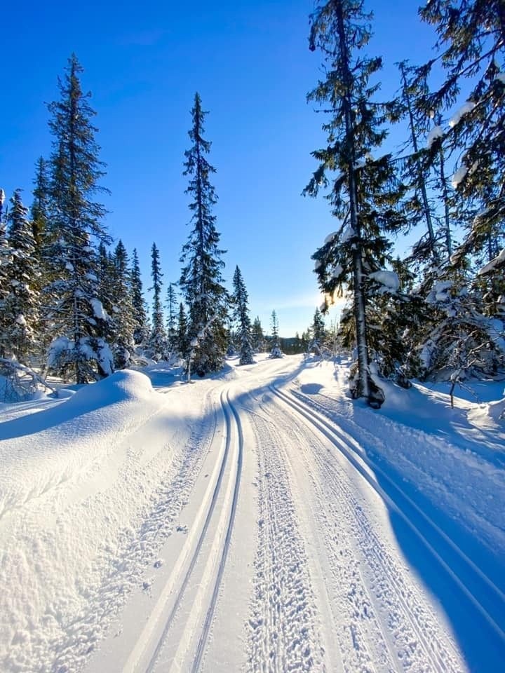 Flotte langrennsløyper Galleribilde
