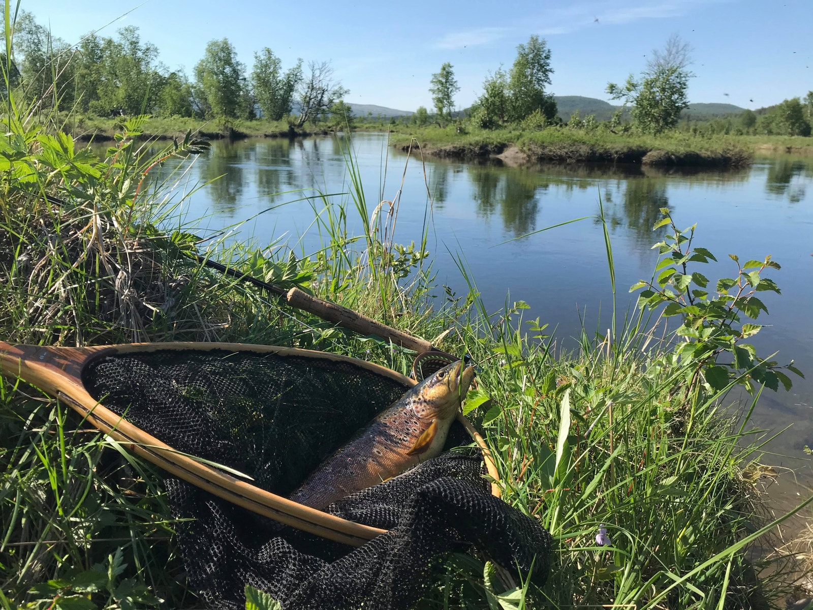 Med mange vann og elver i nærområdet er det gode fiskemuligheter hele året. Galleribilde