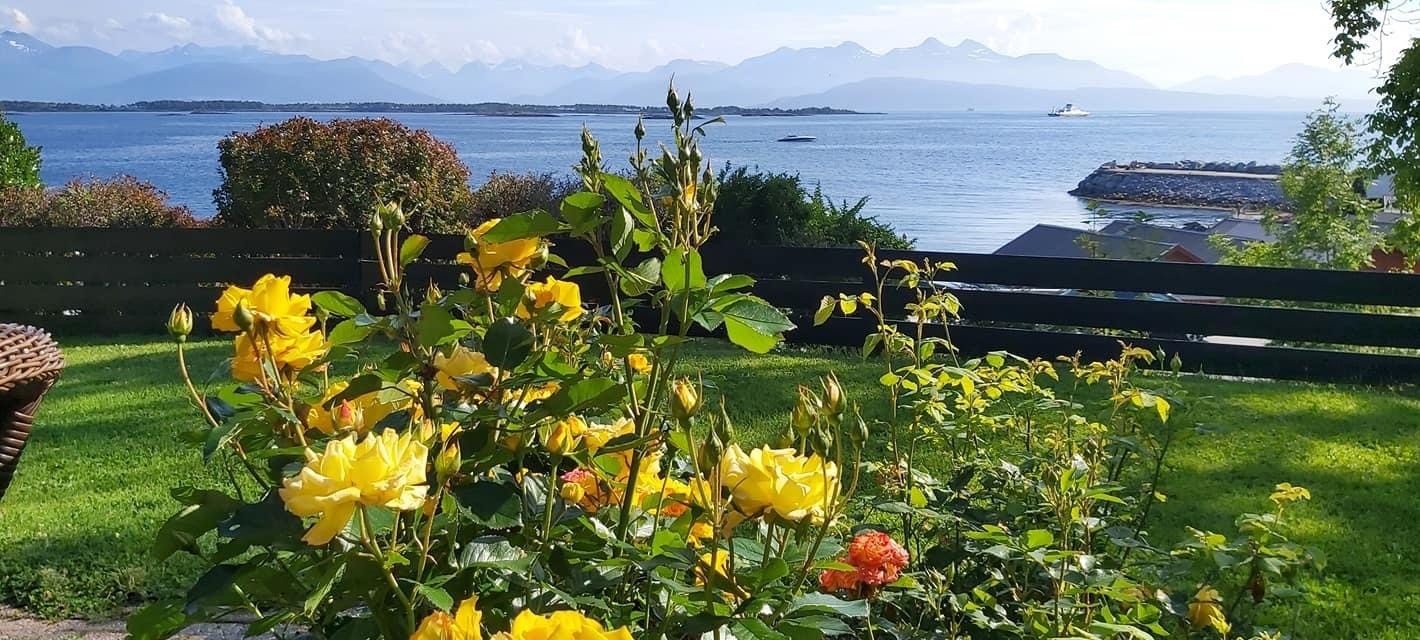 Sommerdag Galleribilde