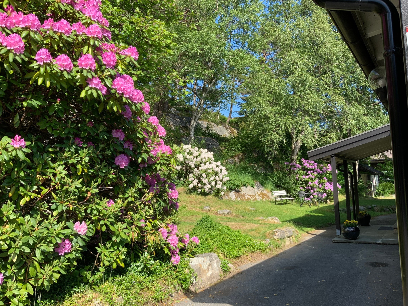 Fint bak huset om sommeren Galleribilde