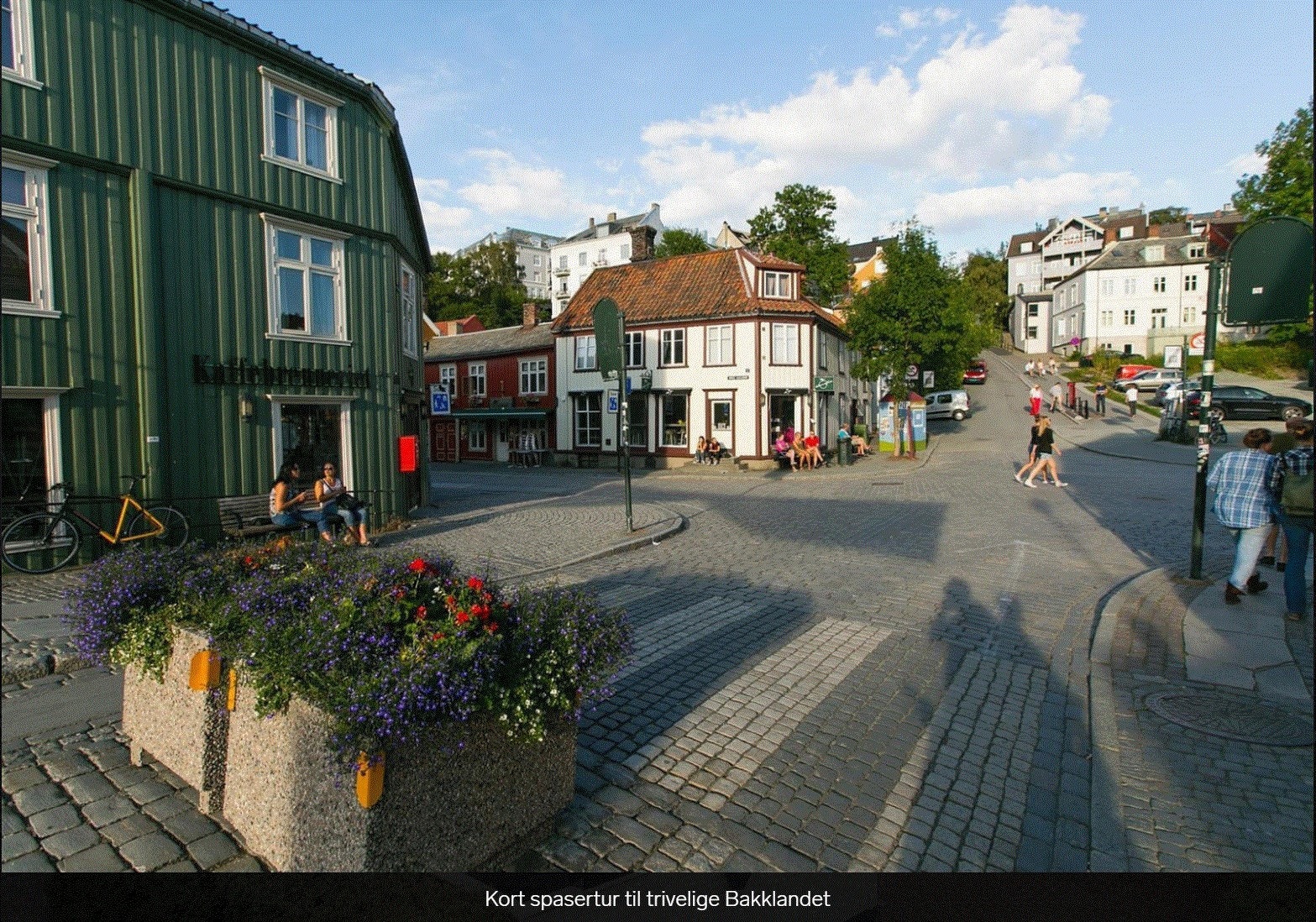 5 min til Bakklandet Galleribilde