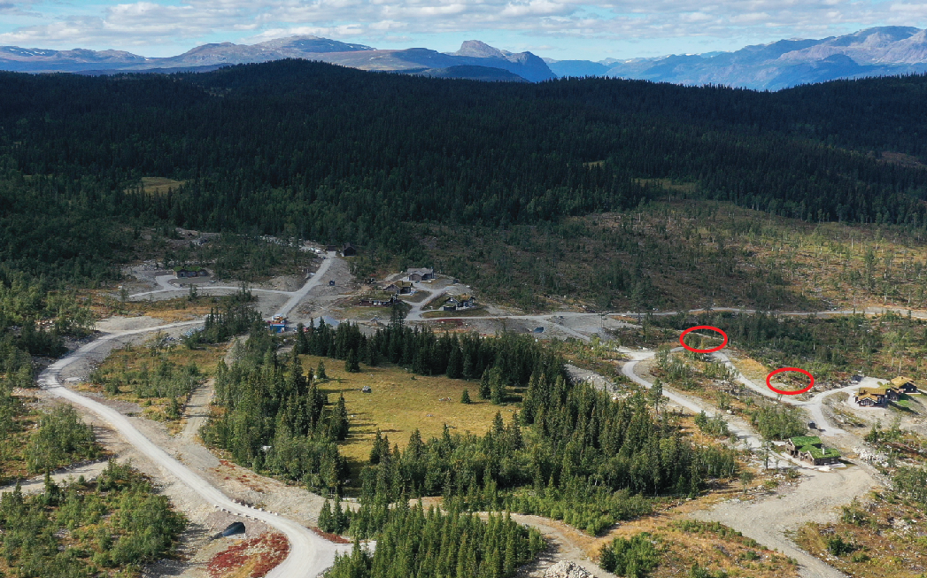 Tomt i rødt Galleribilde