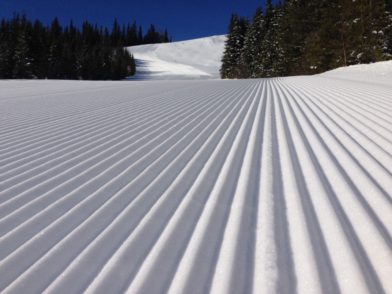 Flott alpinanlegg med bakker for alle Galleribilde